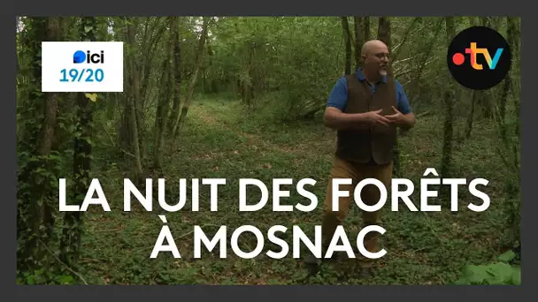 La nuit des forêts à Mosnac en Charente-Maritime