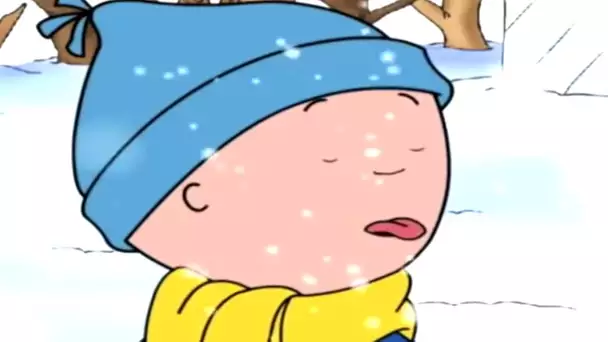 Caillou et les Flocons de Neige | Caillou en Français