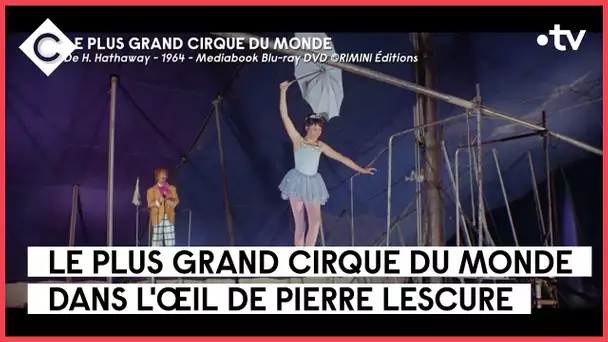 Dans le plus grand cirque du monde, tout est géant - L’Oeil de Pierre - C à Vous - 06/06/2023