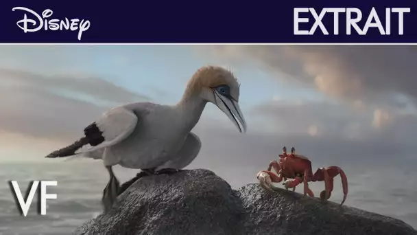 La Petite Sirène - Extrait : Écoute-moi bien l'oiseau (VF) | Disney