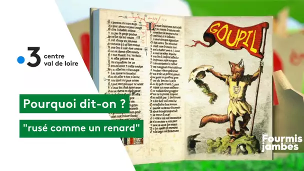 Pourquoi dit-on : rusé comme un renard !