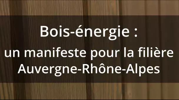 Auvergne-Rhône-Alpes : « La consommation de bois-énergie est primordiale »