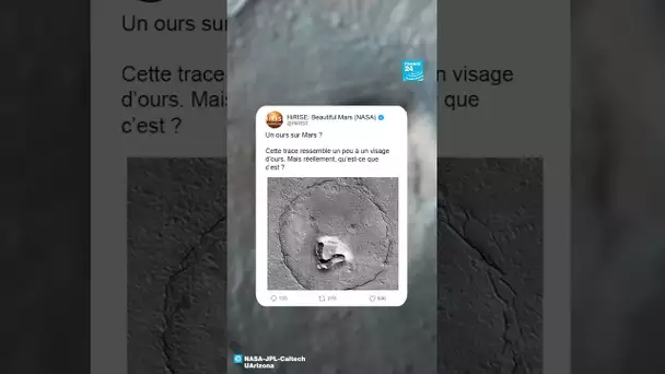 "Un ours sur Mars ?" • FRANCE 24