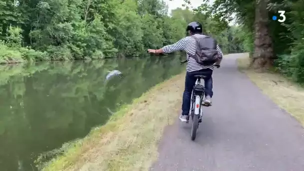 Nancy à vélo