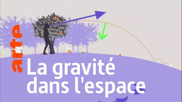 Il n'y pas de gravité dans l'espace : Vrai ou Faux ? | Data Science vs Fake - ARTE