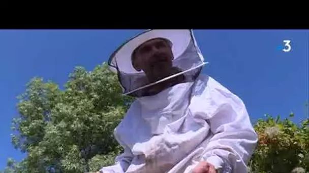 Christophe Jourdan apiculteur à Auriol