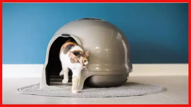 Petmate Booda Clean Step Cat Litter Box Dome
