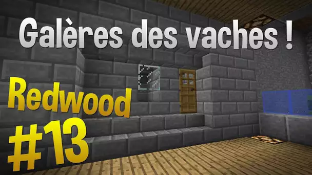 Les vaches c&#039;est la galère ! | Episode 13 - Serveur Redwood | Minecraft