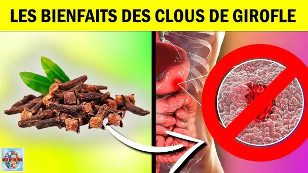 Les bienfaits des clous de girofle - Clou de girofle bienfaits