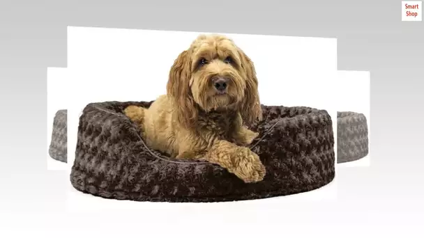 Furhaven Pet Beds for Small, Medium, and Large Dogs