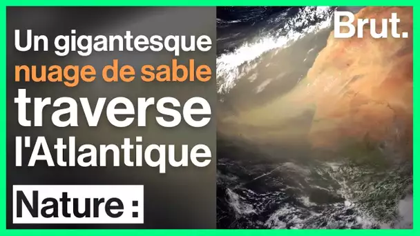 Du Sahara à l'Amérique, le plus grand nuage de sable jamais enregistré traverse l'Atlantique