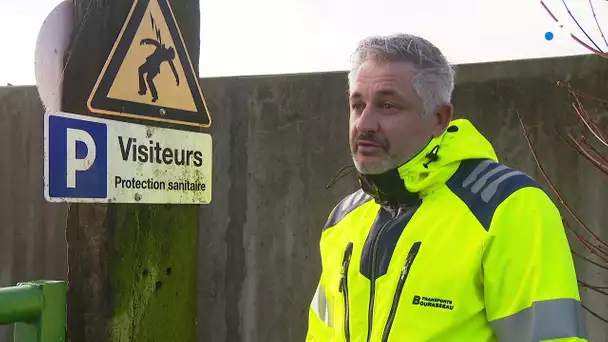 Vendée : un élevage infecté par la grippe aviaire