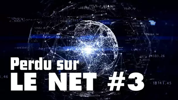 Contempler / Ne presque rien faire : Pris dans la toile d'internet #3