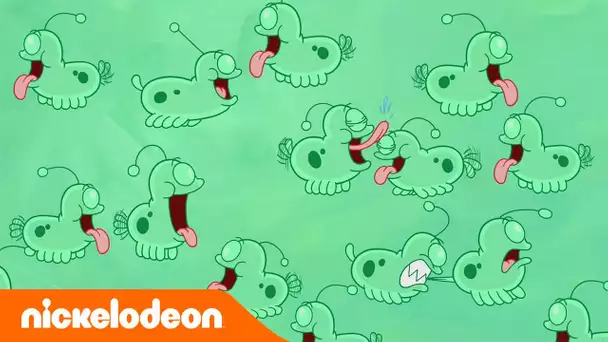 Bob l'éponge | Les petites amibes | Nickelodeon France