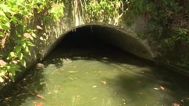 À la découverte des souterrains de Menton (2/4) : des barmes pour arroser les Jardins