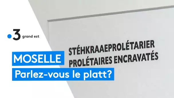 Moselle : parlez-vous le platt lorrain ?