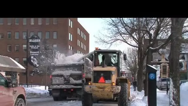 Québec : la betterave permet de le déneigement