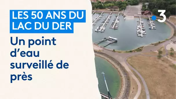 Feuilleton 1/4 : Les 50 ans du lac du Der - un bassin qui se développe