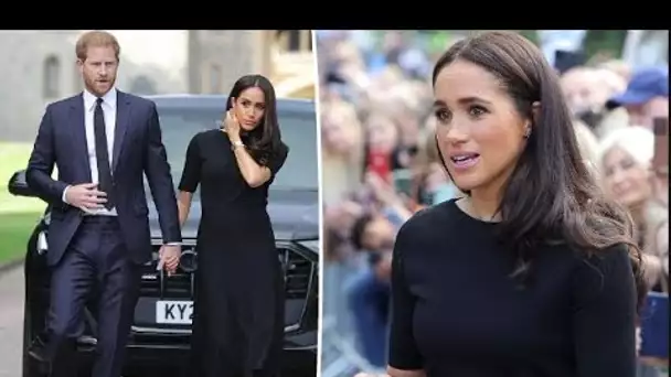 Meghan Markle « inquiète et inquiète » alors qu'elle s'envole pour l'Allemagne pour rencontrer le pr