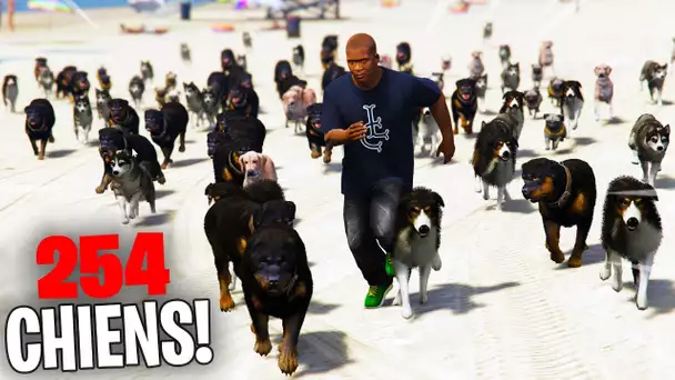 JE CRASH LE SERVEUR AVEC +254 CHIENS SUR GTA 5 !