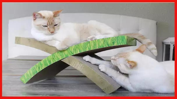 Petstages Cardboard Cat Scratchers - Cat Scratcher Lounge and Cat Games