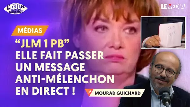 "AU SECOURS, LES GAUCHOS FONT PAS LES CONS" / LCI, BFM : LES LARMES DE RAGE DES ÉDITOCRATES
