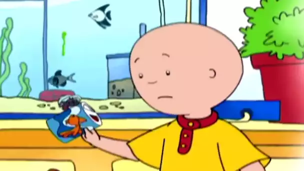 Caillou et les Poissons | Caillou en Français