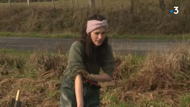 Le Vigen : 30 bénévoles plantent des haies à la ferme des Sailles