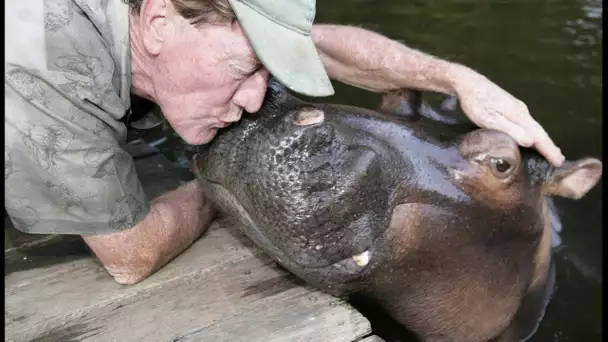 Ils vivent avec un hippopotame - ZAPPING SAUVAGE