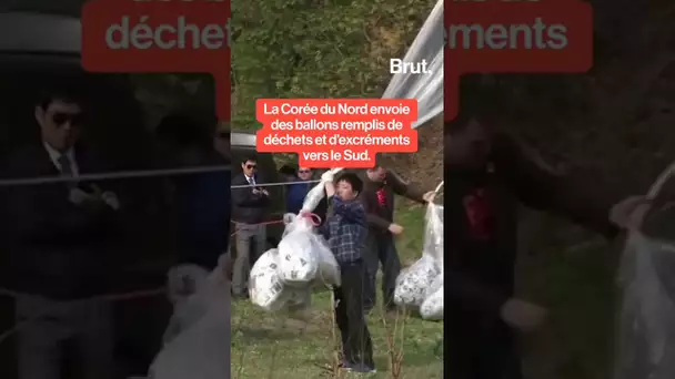 La Corée du Nord envoie des ballons remplis d'excréments et de déchets vers le Sud