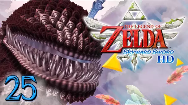 Zelda Skyward Sword HD : LE BANNI, MONSTRE DU VALLON DU SCEAU ! #25 - Let's Play FR