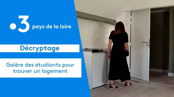 Nantes : Galère des étudiants pour trouver un logement