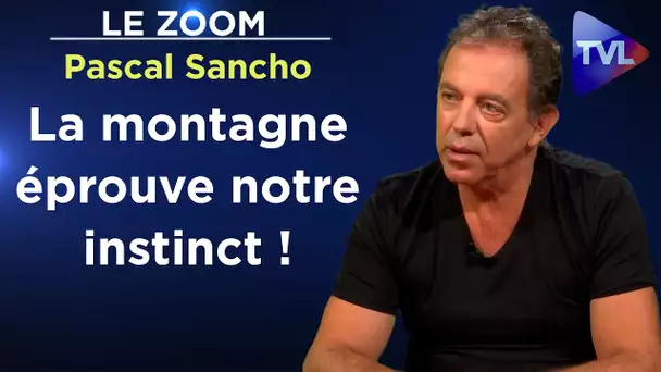 Secouristes en hélicoptère : les héros de la montagne - Le Zoom - Pascal Sancho - TVL