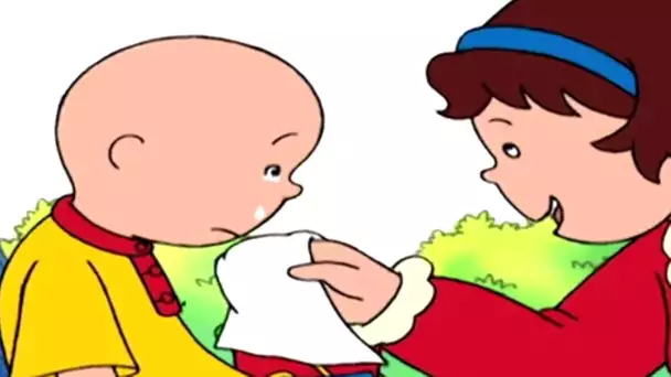 Caillou en Français | Caillou - Un de Trop | dessin animé | NOUVEL ÉPISODE HD