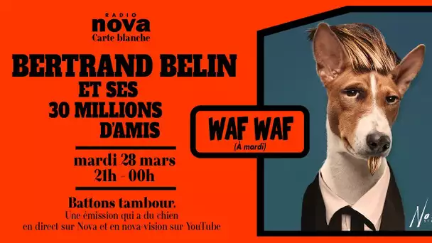 Bertrand Belin et ses 30 millions d'ami.e.s sur Radio Nova