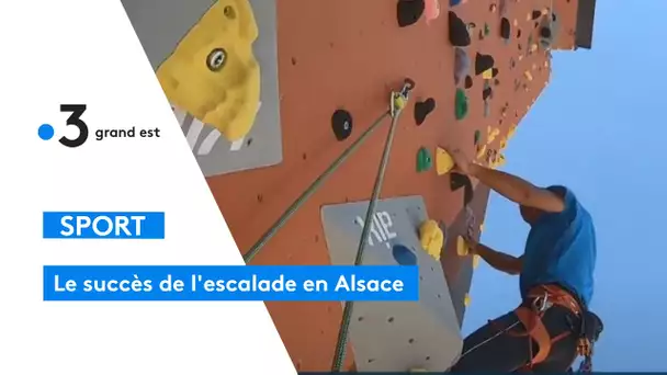 Escalade, le sport qui monte en Alsace