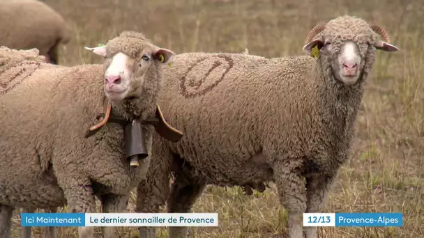 Direction Raphèle-les-Arles pour découvrir le métier de sonnailler.