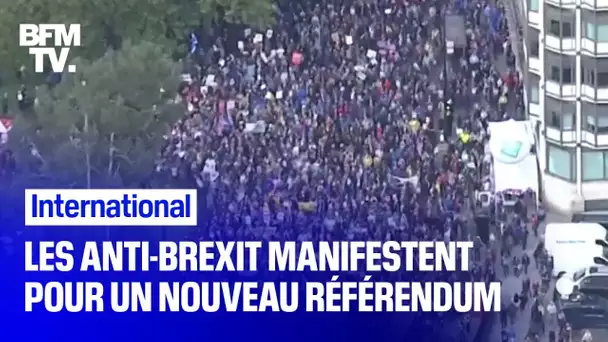 À Londres, des milliers de manifestants anti-Brexit défilent pour un nouveau référendum