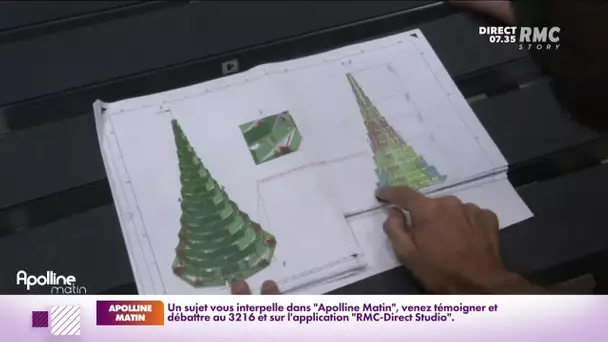 À Bordeaux, le sapin de Noël ne sera pas un "arbre mort"