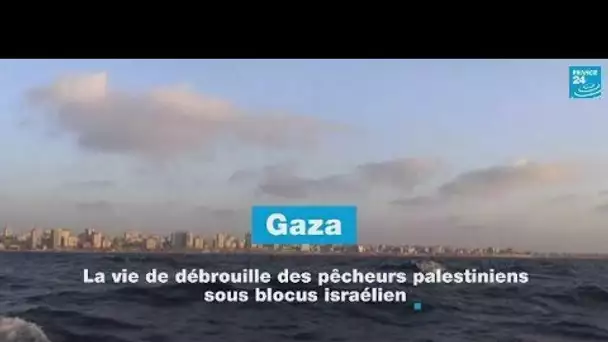 Gaza : la vie de débrouille des pêcheurs palestiniens sous blocus israélien • FRANCE 24