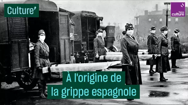 À l'origine de la grippe espagnole - #CulturePrime