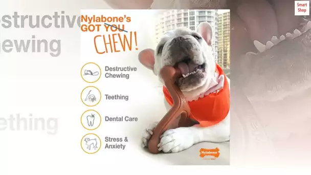 Nylabone Power Chew Action Ridges Chew Toy Bacon Medium/Wolf (1 Count)