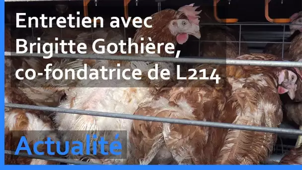 L214 : " Nous aussi, on adorait manger de la viande ! "