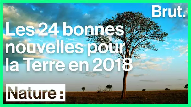 24 bonnes nouvelles pour la planète