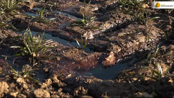 Yvelines : la rupture d’un pipeline de pétrole pollue champs et cours d’eau