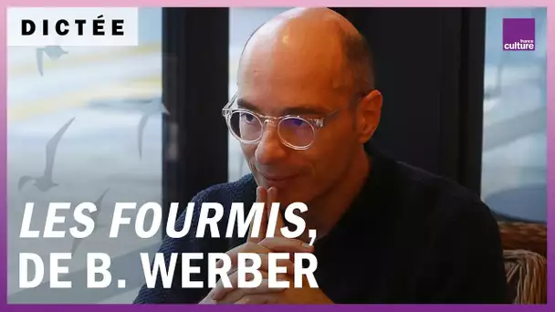 La Dictée géante : "Les Fourmis", de Bernard Werber