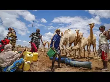 Détresse alimentaire : 193 millions de personnes concernées dans le monde selon la FAO