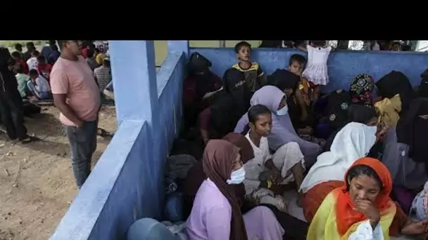 Indonésie : 200 nouveaux réfugiés rohingyas débarquent dans l'ouest de l'Indonésie