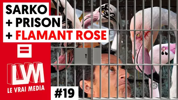 SARKO + PRISON + FLAMANT ROSE