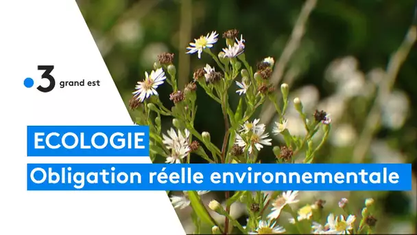 Signature d'une obligation réelle environnementale dans la Marne